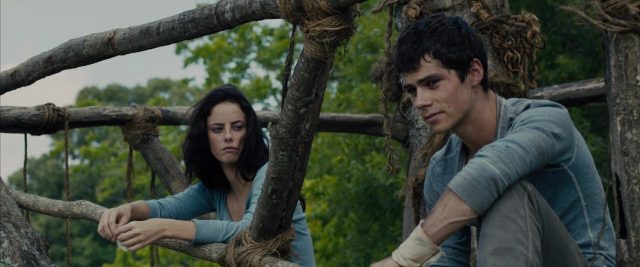 Le labyrinthe. 6 image labyrinthe maze runner disney fox
