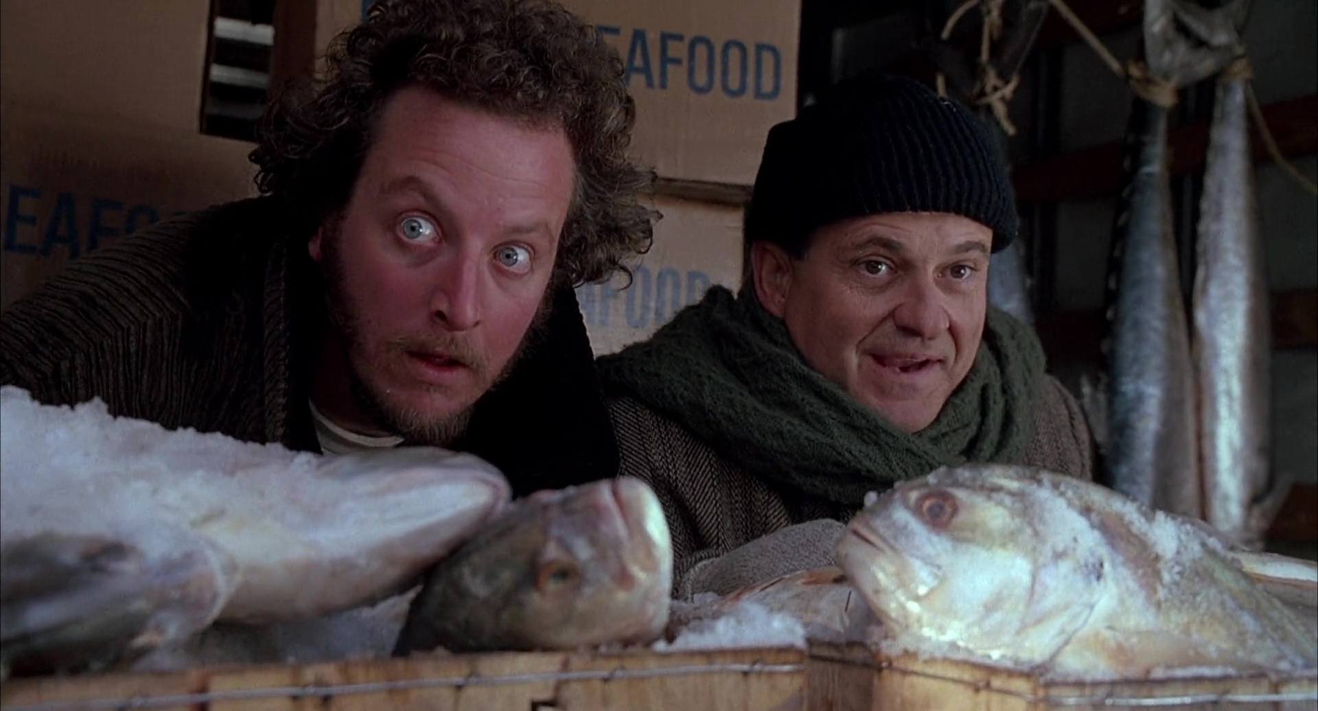 image maman raté encore avion home alone 2 lost new york disney fox