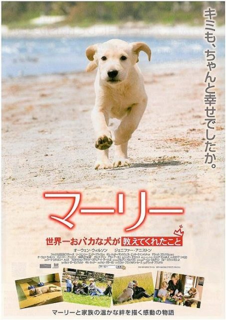 Marley & moi - Photos et affiches. 6 affiche poster marley moi me disney fox