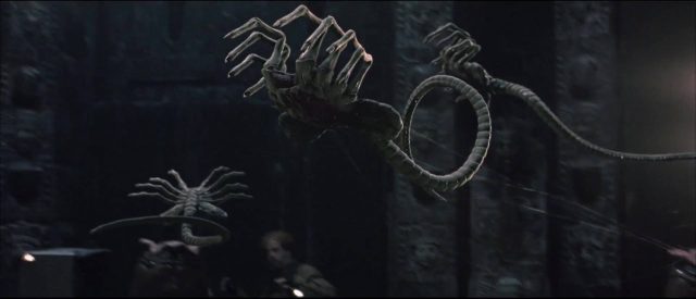 Alien vs. Predator - Photos et affiches. 14 image alien vs predator disney fox