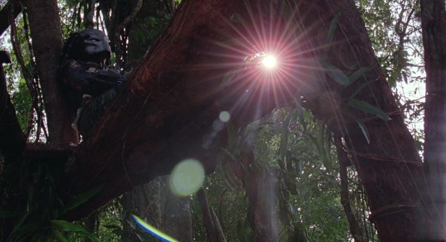 Predator - Photos et affiches. 10 image predator disney fox