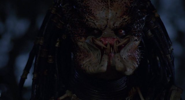 Predator - Photos et affiches. 16 image predator disney fox