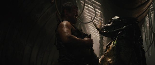Predators - Photos et affiches. 15 image predators disney fox