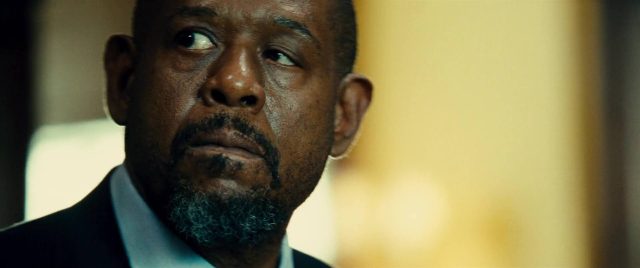 image taken 3 disney fox