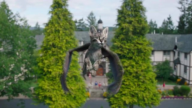 image upside down magic disney channel