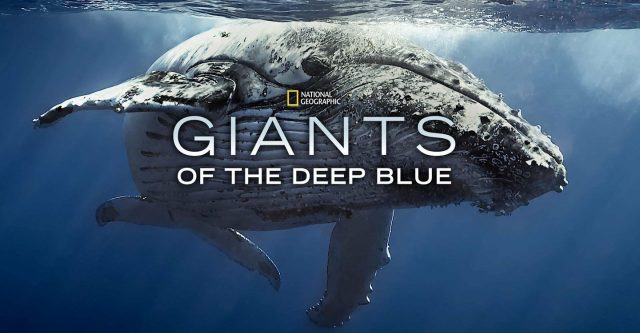 Géants des mers. 1 affiche poster géants mers giants deep blue nat geo disney