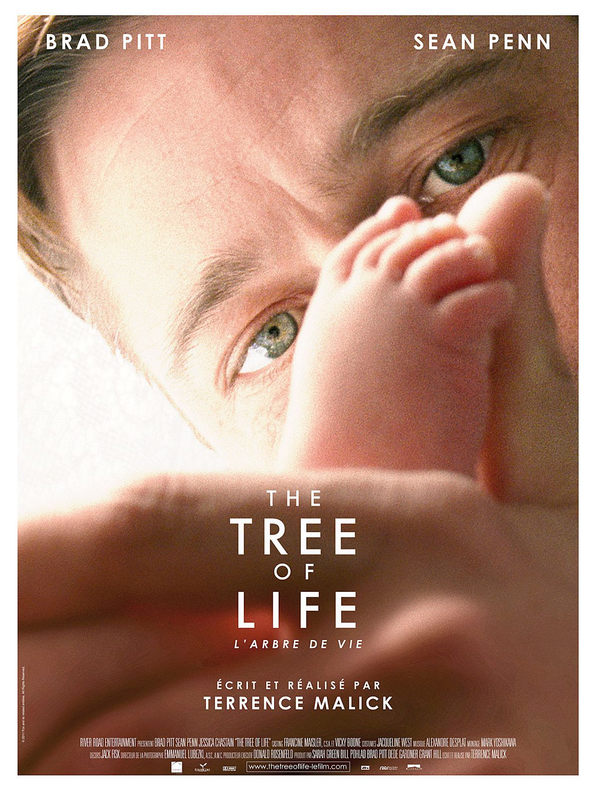 The tree of life : l'arbre de vie - Photos et affiches. 1 affiche poster tree life arbre vie disney fox