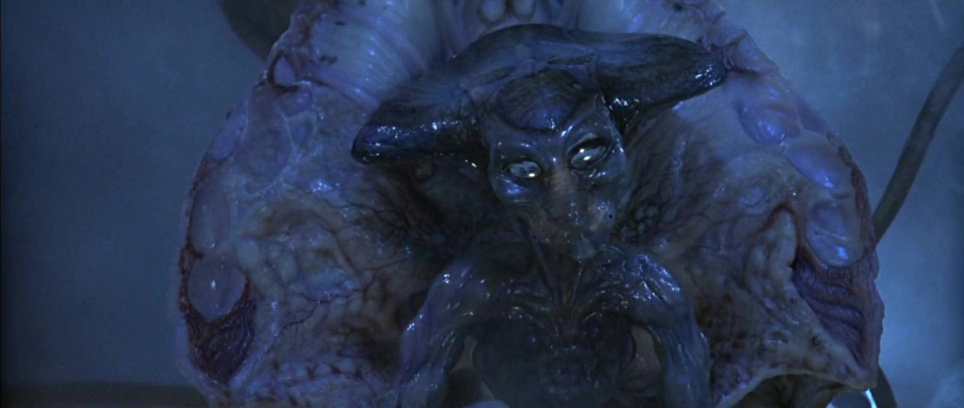 image independence day jour riposte disney fox