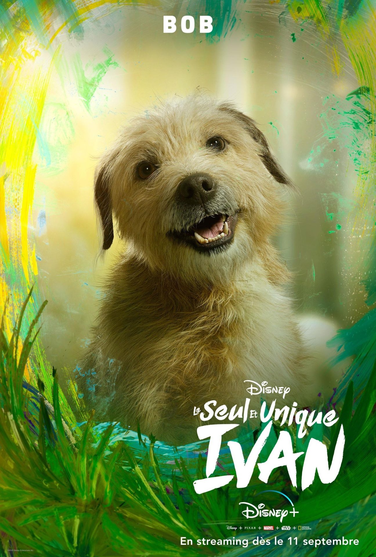 affiche poster seul unique only ivan disney