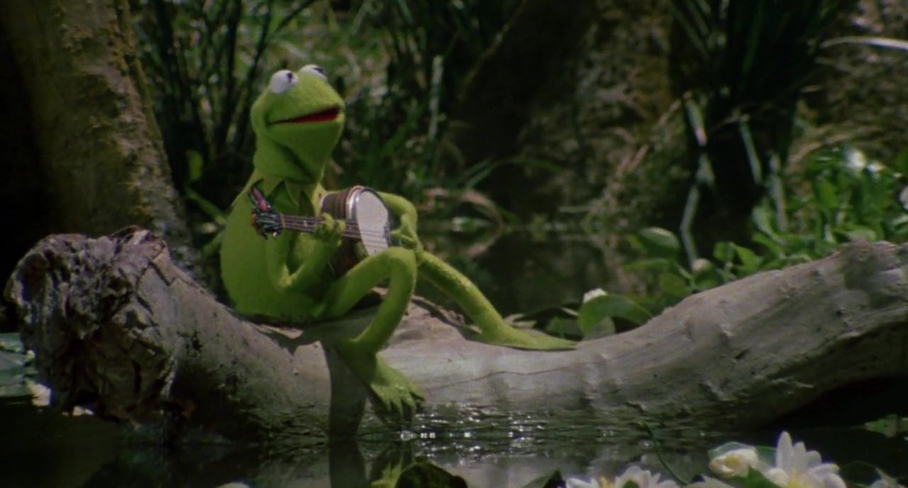 image muppets film movie cinema disney