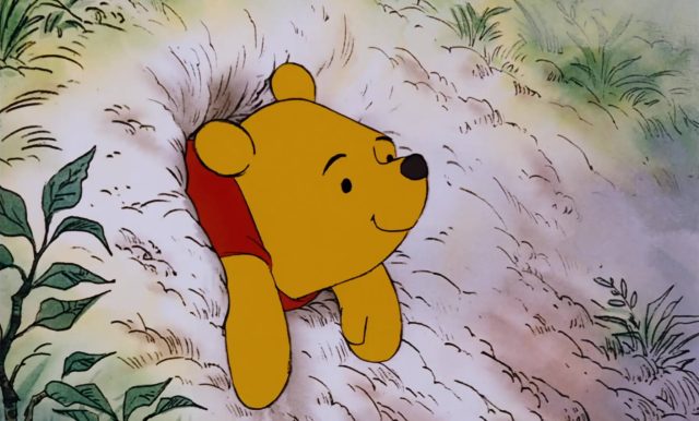 Les aventures de Winnie l'Ourson - Photos et affiches. 12 image winnie ourson arbre miel honey pooh tree disney