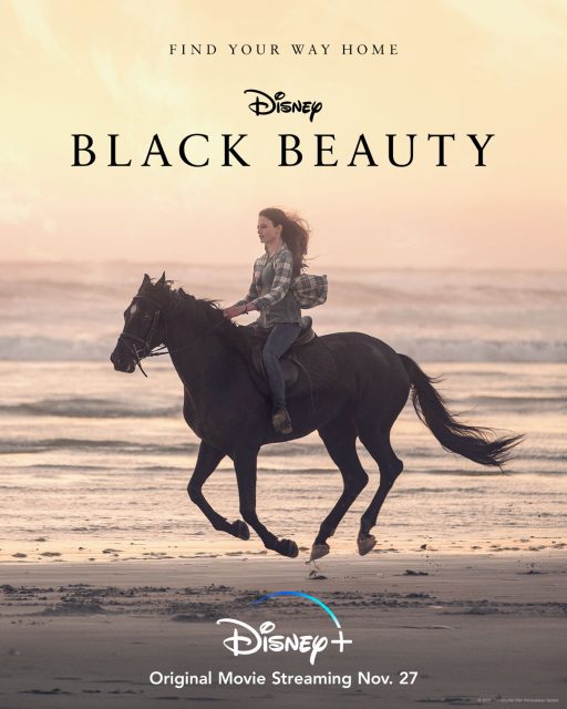 affiche poster black beauty disney