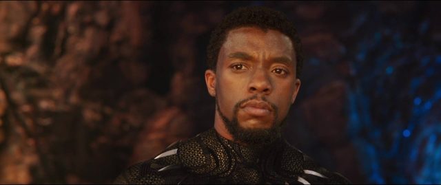 Black Panther - Photos et affiches. 26 image black panther