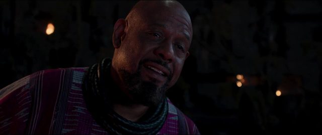 Black Panther - Photos et affiches. 36 image black panther