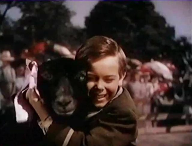 Danny, le petit mouton noir. 7 Scène dans Danny le petit mouton noir So Dear to my Heart 1949