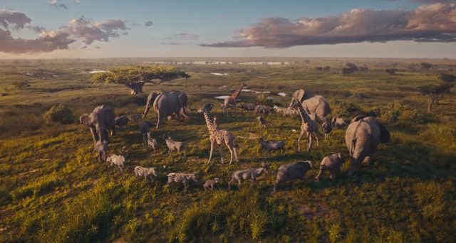 Mufasa : le roi lion - Photos et affiches. 33 Scène de Mufasa : le roi lion 2024
