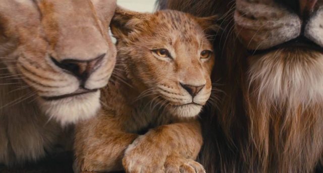 Mufasa : le roi lion - Photos et affiches. 45 Scène de Mufasa : le roi lion 2024