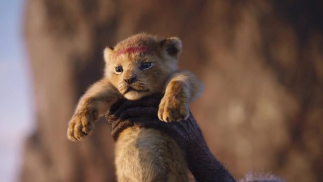 Le Roi Lion (Film) - Photos et affiches. 23 image roi lion king film