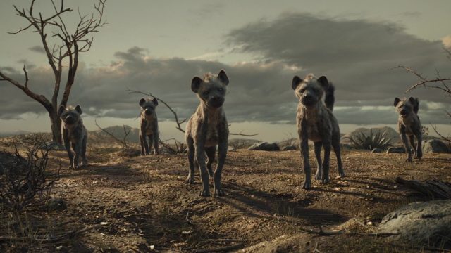 Le Roi Lion (Film) - Photos et affiches. 26 image roi lion king film