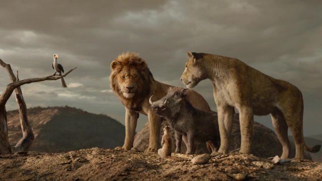 Le Roi Lion (Film) - Photos et affiches. 27 image roi lion king film