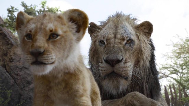 Le Roi Lion (Film) - Photos et affiches. 35 image roi lion king film