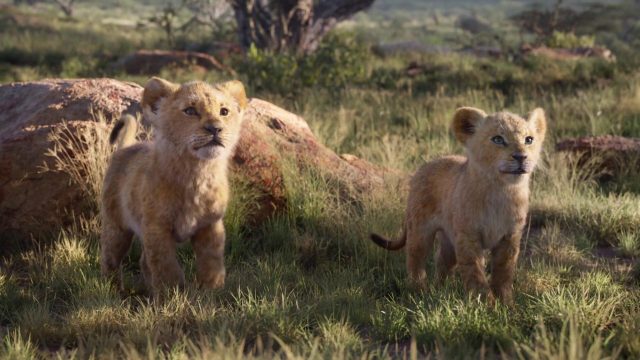 Le Roi Lion (Film) - Photos et affiches. 36 image roi lion king film