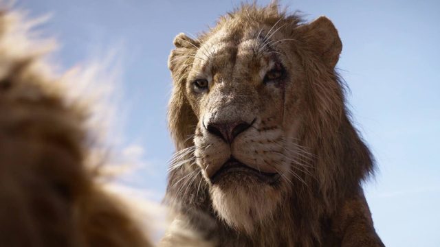Le Roi Lion (Film) - Photos et affiches. 39 image roi lion king film