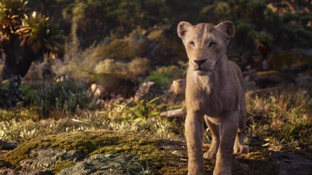 Le Roi Lion (Film) - Photos et affiches. 44 image roi lion king film