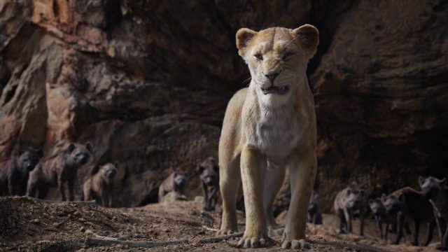 Le Roi Lion (Film) - Photos et affiches. 45 image roi lion king film