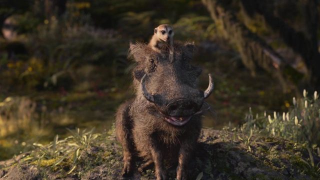 Le Roi Lion (Film) - Photos et affiches. 47 image roi lion king film