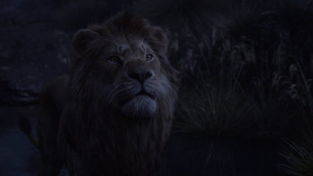 Le Roi Lion (Film) - Photos et affiches. 49 image roi lion king film