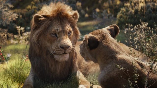 Le Roi Lion (Film) - Photos et affiches. 50 image roi lion king film