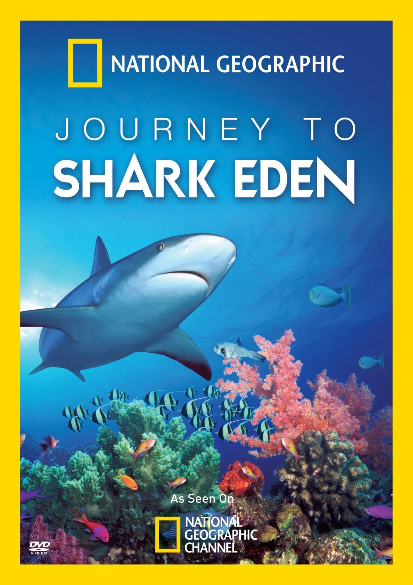 Le paradis des requins - Photos et affiches. 1 affiche poster journey paradis eden requins shark disney nat geo
