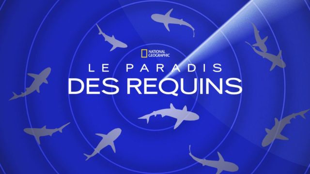 Le paradis des requins - Photos et affiches. 2 affiche poster journey paradis eden requins shark disney nat geo
