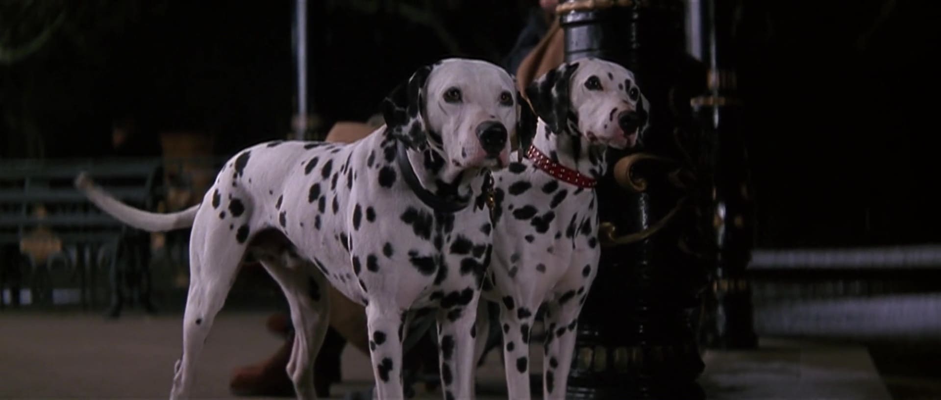 image 101 dalmatiens film dalmatians
