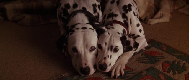 Les 101 dalmatiens (Film - 1996). 25 image 101 dalmatiens film dalmatians