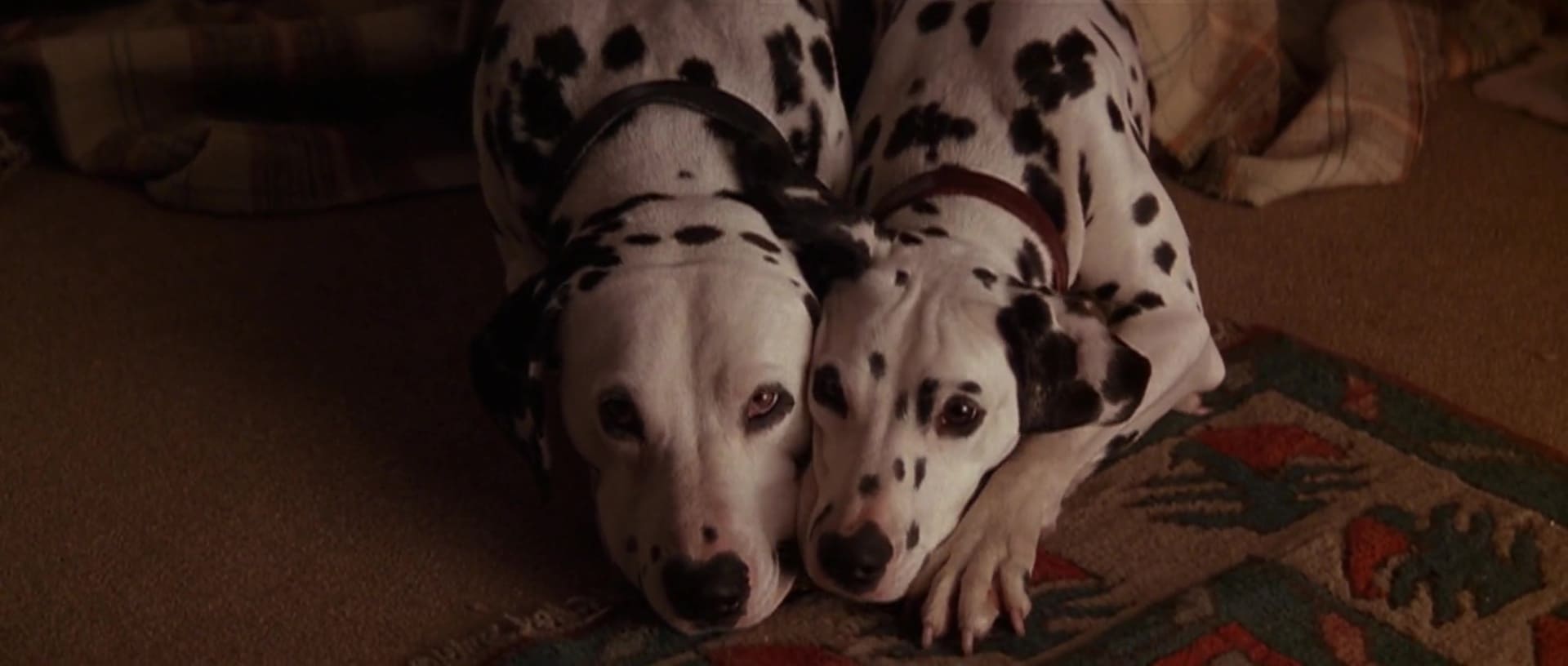 image 101 dalmatiens film dalmatians