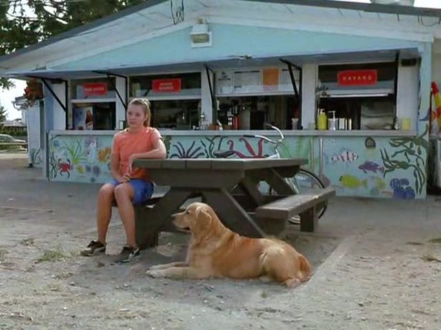 Air Bud Superstar - Photos et affiches. 8 image air bud superstar Spikes back