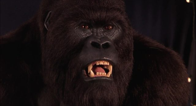 Mon ami Joe. 5 image ami Mighty Joe Young