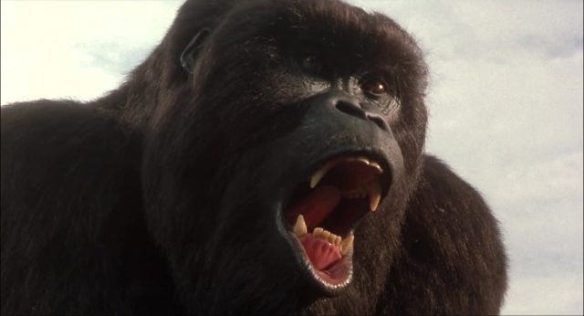 Mon ami Joe - Photos et affiches. 6 image ami Mighty Joe Young