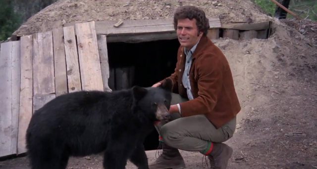 Mes amis les ours. 2 image amis ours bears
