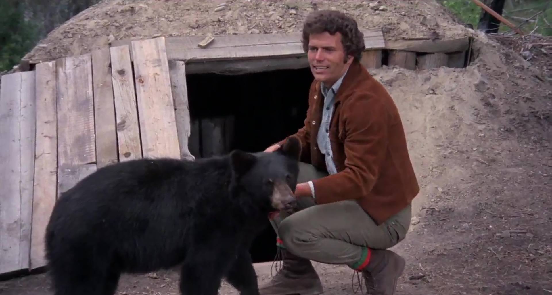 image amis ours bears