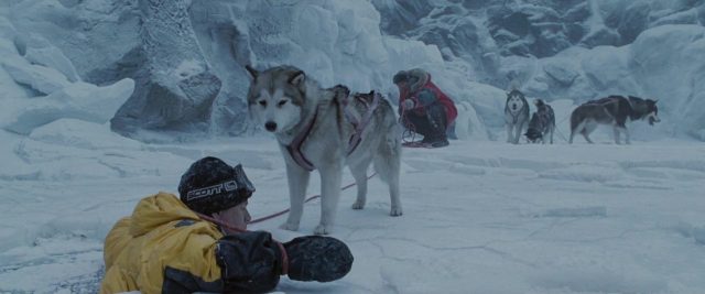 Antartica, prisonniers du froid. 4 image antartica prisonniers froid Eight Below