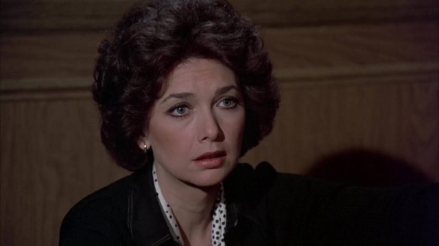 image candidat poil shaggy da