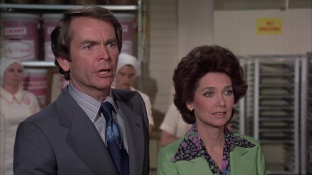 image candidat poil shaggy da