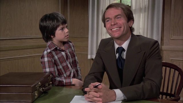 image candidat poil shaggy da