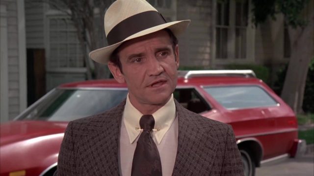 image candidat poil shaggy da