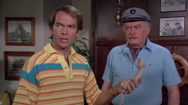 image candidat poil shaggy da