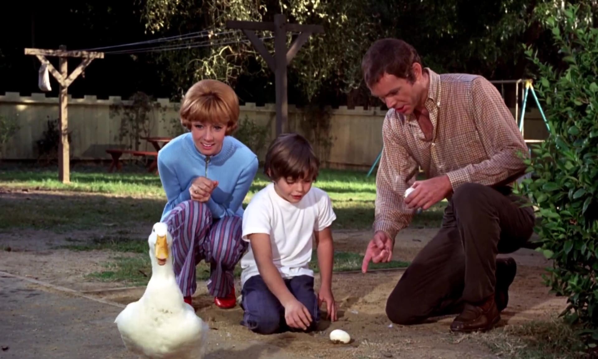 La cane aux oeufs d'or - Photos et affiches. 13 image cane oeufs or million dollar duck