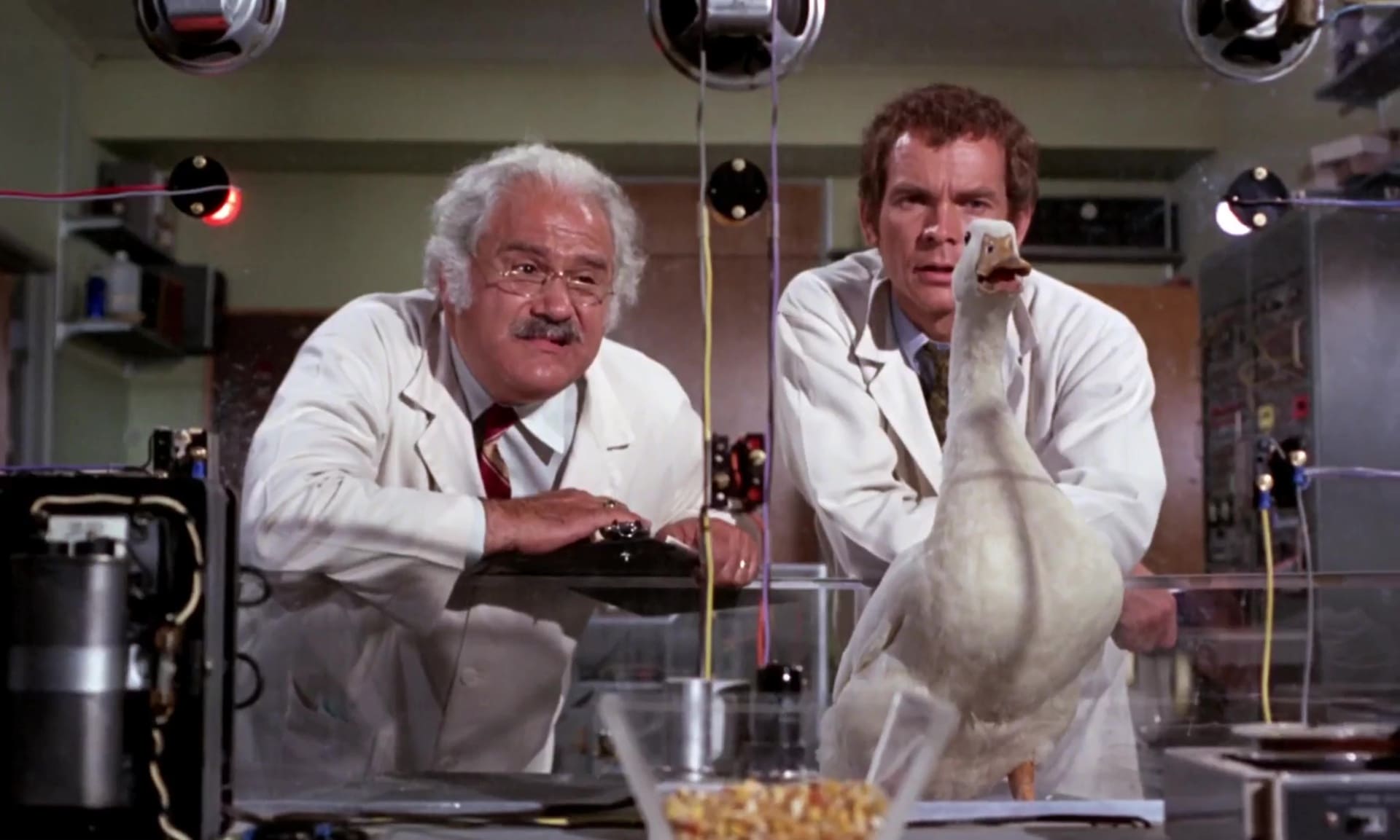 La cane aux oeufs d'or - Photos et affiches. 16 image cane oeufs or million dollar duck